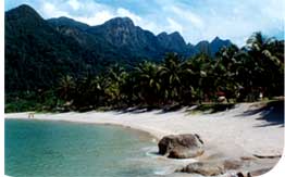 beach_02.jpeg (7804 bytes)