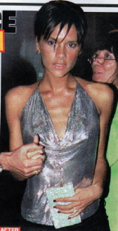 poshspice.jpeg (41998 bytes)
