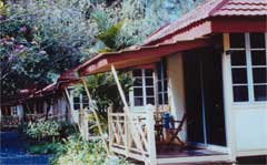 room_03.jpeg (8825 bytes)